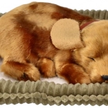 Dišući plišani psić za udomljavanje