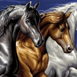 Dijamantno slikanje Divlji trio 30 × 40 cm