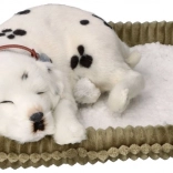 Realistični dišući dalmatin PERFECT PETZZZ za udomljavanje