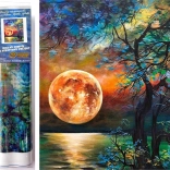 Dijamantno slikanje Šareni puni mjesec nad jezerom 30x40 cm