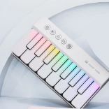 Glazbeni mini klavir bijeli za djecu