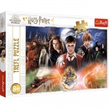Puzzle HARRY POTTER – 300 dijelova