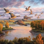 Zagonetka Migracije COBBLE HILL 1000 dijelova