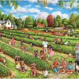 Falcon slagalica Berba jagoda 1000 komada