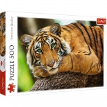 Puzzle Portret tigra 500 dijelova