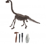 Arheološki set – brachiosaurus