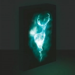 Svjetleća LED slika Harry Potter - Patronus