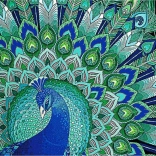 dijamantno slikanje 7D paunova čarolija 30 × 30 cm