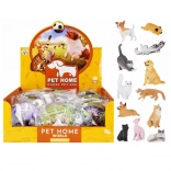 naučna životinje – psi i mačke s karticom i nazivom vrste