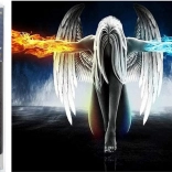 Dijamantno slikanje Pali anđeo 30x40 cm