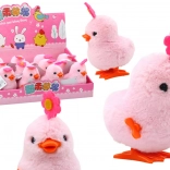 Ružičasti skačući cvjetić s ključem