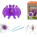 Istraži: obdukcija šišmiša – edukativni set sa sluzom