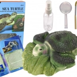 Edukativni set iskopine kornjače Amonit