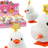 Navijeni Plesni Pile s Zvjezdicom