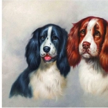 Dijamantno slikanje Pahnata dvojka 30 × 40 cm