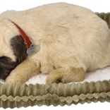 Perfect Petzzz dišuće štene mopsa