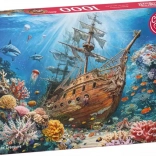 Puzzle CHERRY PAZZI potonulo blago 1000 dijelova