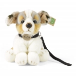 plišani pas australski ovčar s povodcem 28 cm eco friendly