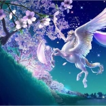 Norimpex dijamantno slikanje Pegas 30x40 cm