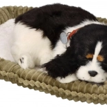 Udomite me Disajući plišani pas Koker španijel